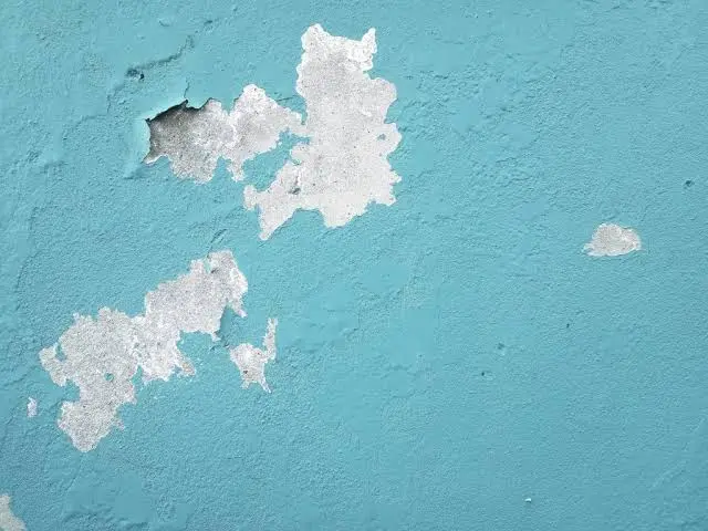 Why Paint Bubbles and Peels on Damp Walls (and Why Repainting Won't Fix It)